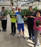 Personas usuarias del Frida Luna en el vivero