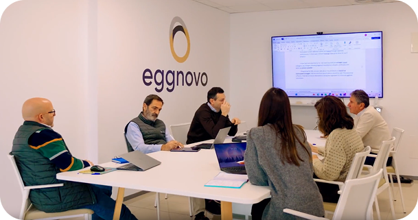 Planta de Eggnovo en Villatuerta