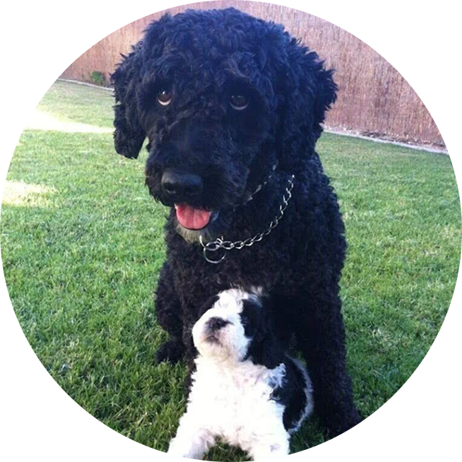 Curra y Bruno