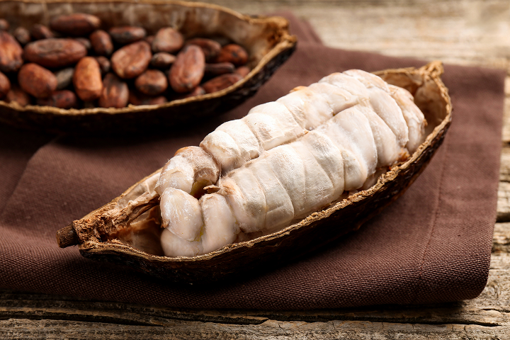 Semillas de cacao en su mucílago
